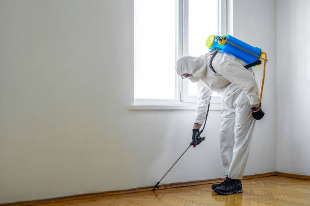 Best Best Pest Control Companies  in Edgefield, SC