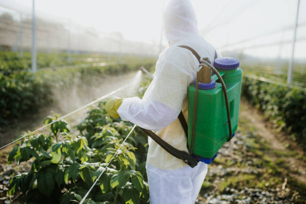 Pest Control Cost in Edgefield, SC